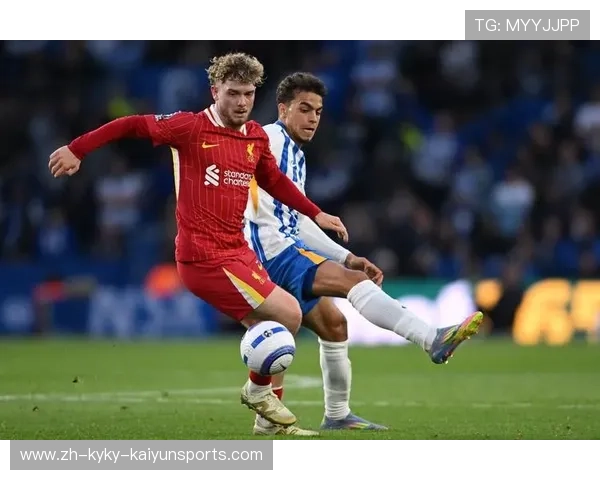 英超所有球队及标志合集足球迷收藏宝典